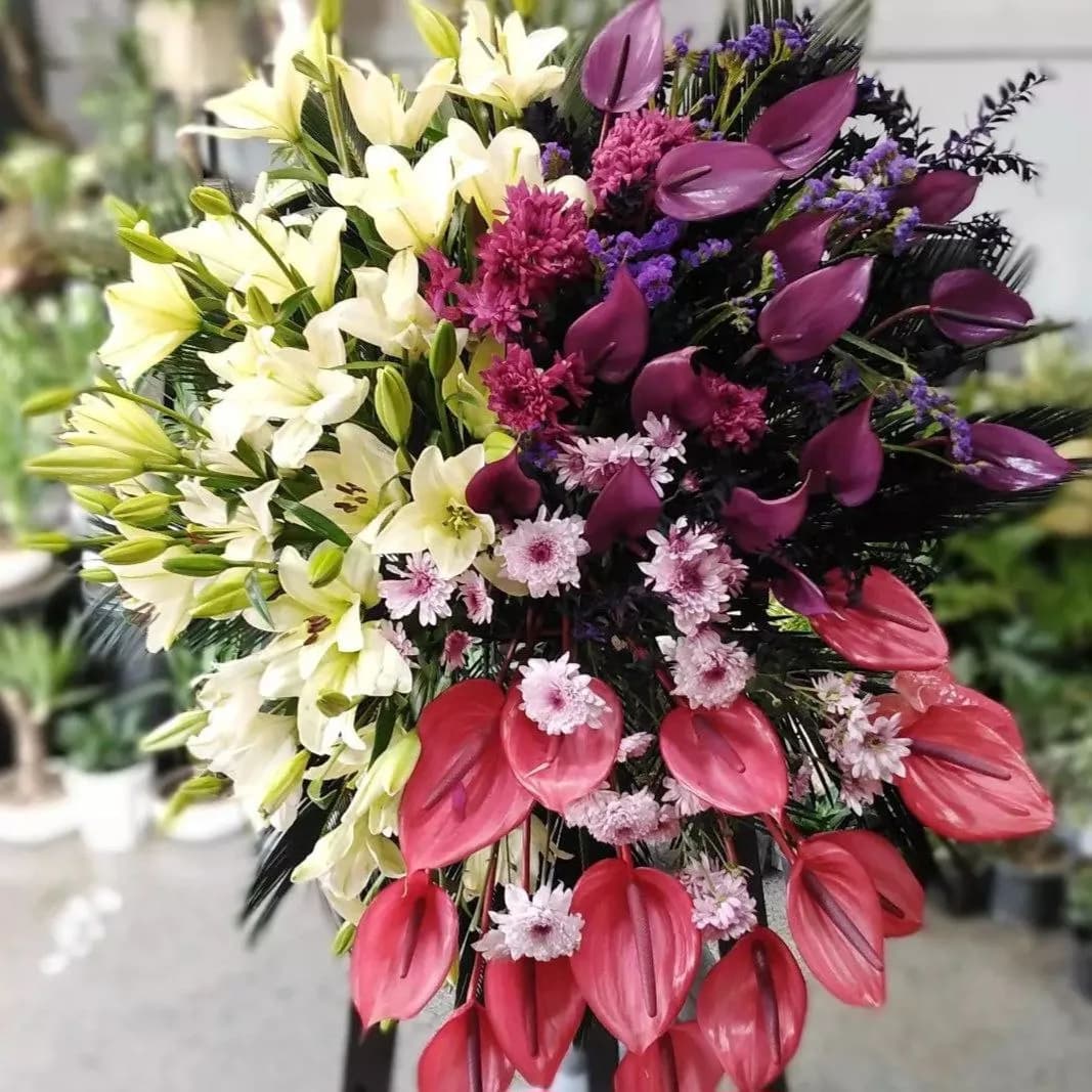 گلفروشی ویرا - Image 3