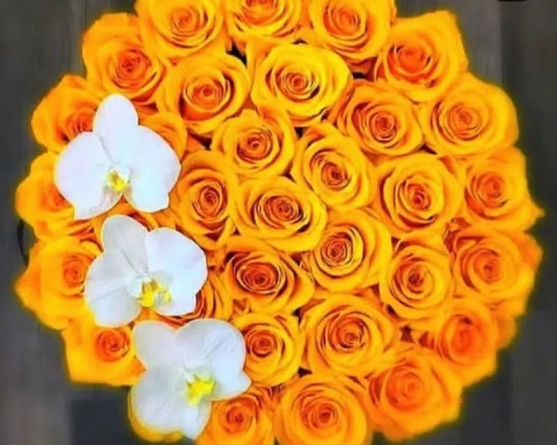 گلفروشی قدس - Image 2