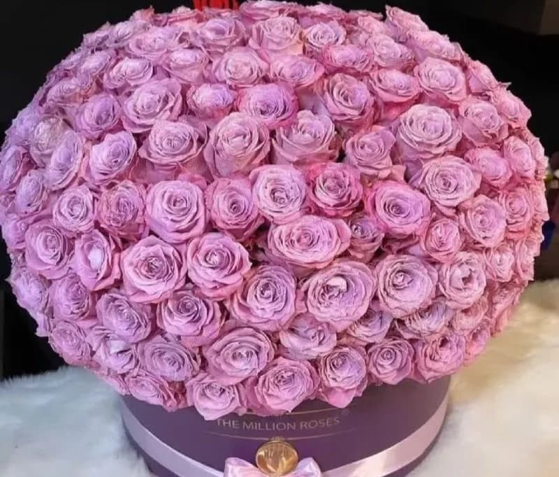 گلفروشی قدس - Image 7