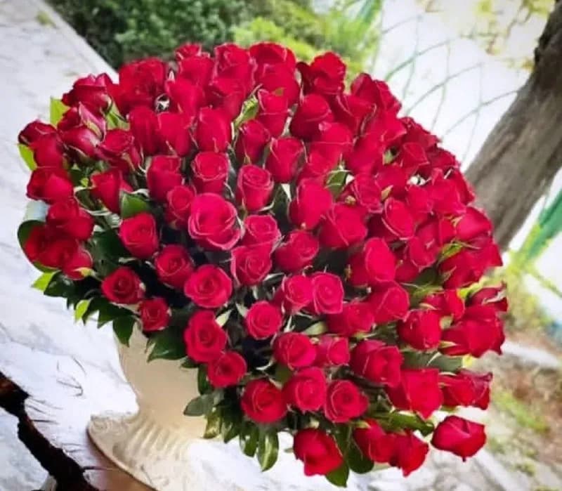 گلفروشی قدس - Image 8