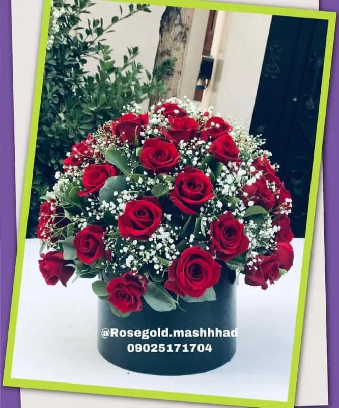 گلفروشی رز گلد - Image 2