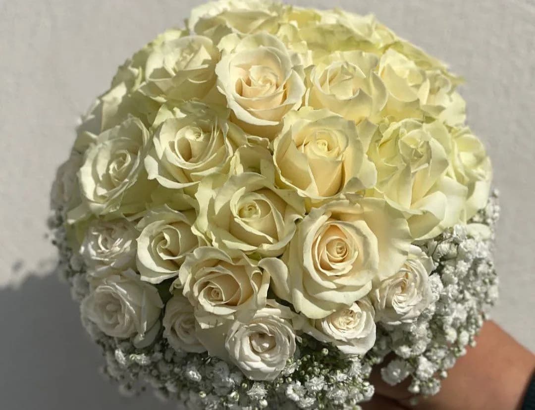 گلفروشی مگنولیا - Image 8