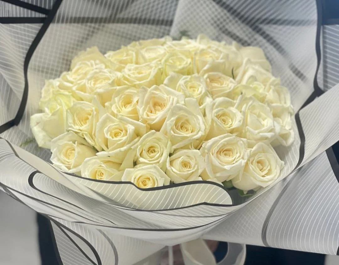 گلفروشی مگنولیا - Image 12