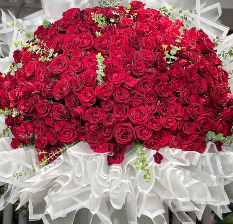 گلفروشی مگنولیا - Image 13