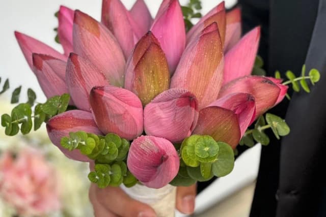 گلفروشی مگنولیا